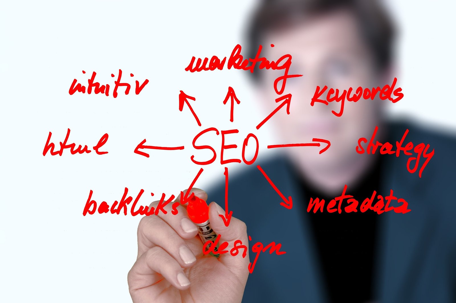 SEO Agencies in Spring Lake Park